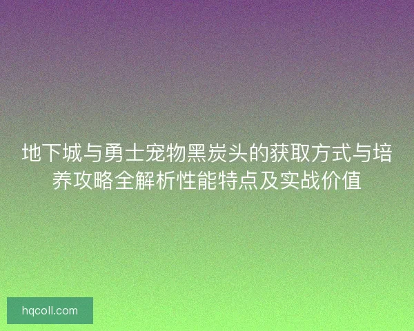 地下城与勇士宠物黑炭头的获取方式与培养攻略全解析性能特点及实战价值 地下城与勇士宠物黑炭头的获取方式与培养攻略全解析性能特点及实战价值