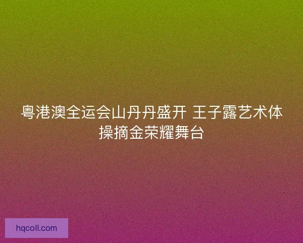 粤港澳全运会山丹丹盛开 王子露艺术体操摘金荣耀舞台